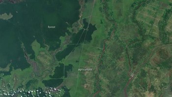 Penampakan sebagian pulau Kalimantan yang memukau dilihat jauh dari angkasa sana. Foto: ESA/NASA