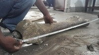 Jadi ini fosil tulang gajah atau Stegodon yang berumur 1 sampai 1,5 juta tahun,” kata Juru Pelihara Museum Trinil BPCB Mojokerto Wilayah Kerja Provinsi Jawa Timur, Agus Hadi. (Foto: Sugeng Harianto)
