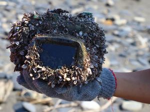 2 Tahun Hilang di Laut, Kamera Ini Masih Berfungsi