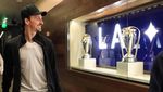 Ini Kandang Ibrahimovic