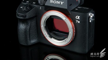 Kamera Alpha 7 III data merekam video Full HD pada dengan kecepatan 120 fps hingga 100 Mbps, dimana hasil dapat diperiksa terlebih dahulu dan pada akhirnya di edit menjadi video slow motion 4x atau 5x dengan resolusi Full HD dan tracking AF. Foto: fengniao