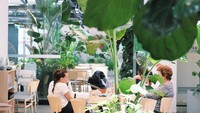 Au79 menempati bangunan bekas garasi motor tua. Di tangan Mim Design, tampilan kafe berubah jadi teduh dengan nuansa kebun dalam ruangan. Foto: Instagram au79cafe
