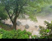 Forest: ISO 50, f/2.4, 1/180, 26mm.