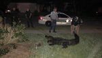 Penampakan Aligator 4 Meter dalam Kolam Renang di Florida