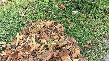Kepala kucing terlihat di bagian tengah bawah. Foto: boredpanda