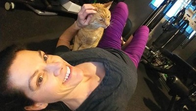 Gym Cat, Para Kucing Imut yang Senang Menemani Orang Nge-gym