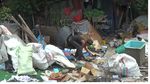Kisah Kakek Zahri, Hidup Digubuk Sampah Selama 17 Tahun