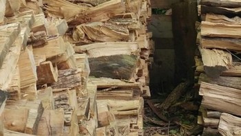 Di mana kucingnya? Ada di tumpukan kayu nomor dua dari kiri bagian atas. Warna bulunya sama dengan kayu sehingga bikin bingung. Foto: boredpanda
