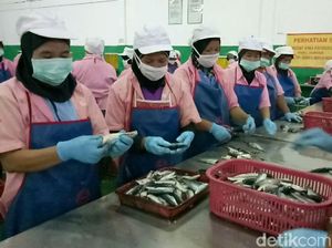 Pasca Temuan Cacing Parasit, Pabrik Ini Liburkan Ribuan Buruh