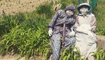 Seram Atau Unik? Desa Ini Isinya Boneka