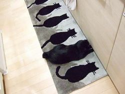 Potret Kucing Jago Menyamar, yang Melihat Kebingungan