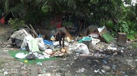 M. Zahri sepertinya memang pantas disebut dengan panggilan si kakek tua yang pantang putus asa. Dengan kondisi hidup yang serba kekurangan bersama istrinya dan satu orang anak laki-lakinya itu. Zahri masih sanggup membiayai anaknya sekolah.