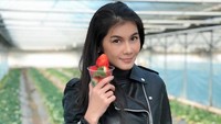 Nat juga asyik berkunjung ke agrowisata perkebunan strawberry. Dia memetik beberapa buah strawberry dan memamerkannya di depan kamera. (Instagram/natkejsarin)