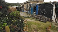 Ia menghabiskan musim dingin di rumah, selama berbulan-bulan hampir tidak berkeliaran di pulau itu dan menghabiskan waktu di teras depan di bawah kanopi. Ia membunuh waktu dengan mengambil foto pantai, satwa liar dan pemandangan, mengedit bidikan dan kemudian membagikannya di media sosial dan Instagram (Foto: Mauro Morandi/CNN)