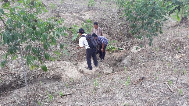Arkeolog Sangiran Ikut Teliti Lokasi Temuan Fosil di Ngawi