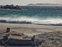 Kek, Ngapain Sendirian di Pulau Terpencil Selama 29 Tahun?