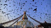 Foto: Merpati terbang di atas situs warisan UNESCO, Boudhanath Stupa, di Kathmandu, Nepal (Narayan Maharjan/CNN Travel)