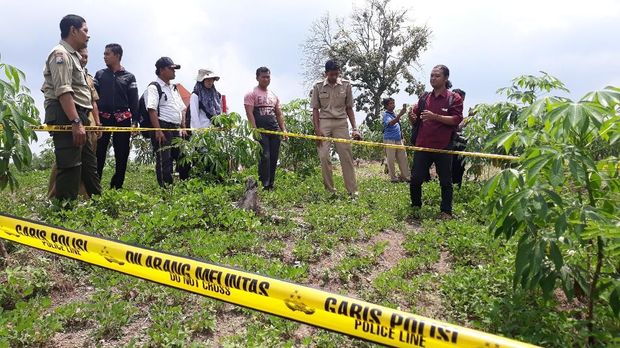 Arkeolog Sangiran Ikut Teliti Lokasi Temuan Fosil di Ngawi