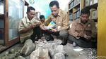 Ini Fosil Gajah Purba di Ngawi, Diprediksi Berusia 1 Juta Tahun