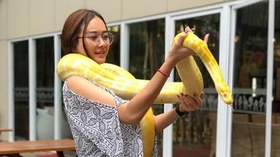 Aura Kasih Mirip Boneka, Main Ular hingga Mesra dengan Morgan Oey