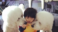 Hayo, kok Mame lagi menyuap makanan tapi malah direbutin sama Riku dan Gaku? Foto: Instagram @tamaneqi.qoo.riku
