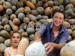 Kocak! Ketika Aktor Terkenal Hollywood Jadi Petani di China