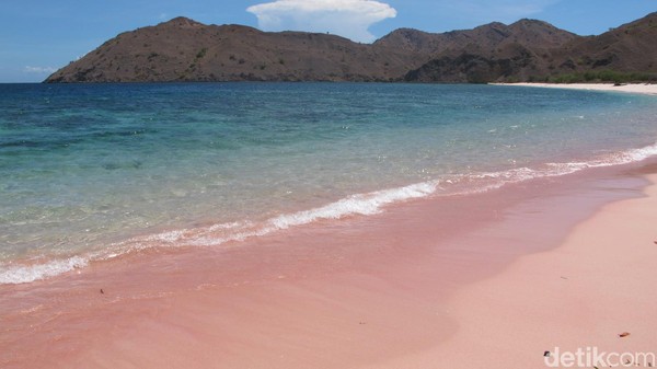 Pink Beach alias Pantai Pink memang sudah terkenal di Pulau Komodo. Tapi pantai Namong dengan pasir yang berwarna pink, juga berada di Pulau Komodo lho! (Afif Farhan/detikTravel)
