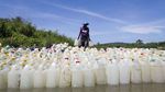 Melihat Krisis Air Bersih yang Melanda Berbagai Belahan Dunia