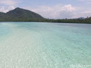Celebrity on Vacation: Indahnya Bawah Laut Pulau Pahawang Kecil