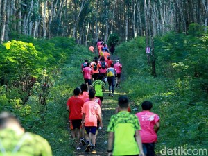 Ijen Green Run, Keseruan Berlari di Alam Berudara Segar