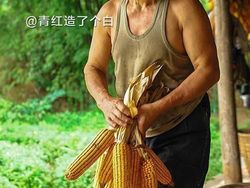 Kocak! Ketika Aktor Terkenal Hollywood Jadi Petani di China