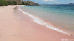 Kapan Kamu ke Pantai yang Pasirnya Pink Ini?