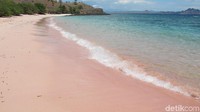 Hamparan pasir pantai yang berwarna pink sungguh cakep! (Afif Farhan/detikTravel)