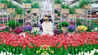 Begini ekpresi Syahrini saat berfoto dengan bunga Tulip di Keukenhof, salah satu kebun bunga terbesar di dunia yang berada di Belanda. (princessyahrini/ Instagram)