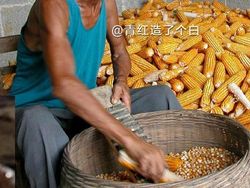 Kocak! Ketika Aktor Terkenal Hollywood Jadi Petani di China