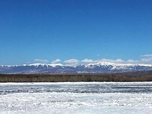 Mengkhawatirkan, Siberia Terlalu Lama Bercuaca Hangat
