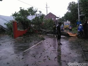 Hujan Es dan Angin Kencang Terjang Mojokerto, Sejumlah Pohon Tumbang