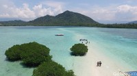 Dengan perahu motor, para traveler menyambangi pulau-pulau kecil itu satu per satu. Yang paling menarik antara lain Pulau Kelagian Kecil, Pulau Kelagian Besar, Pulau Pahawang Kecil, dan Pulau Pahawang Besar (Didik Dwi/detikTravel)