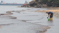 Pasca kebakaran pipa minyak bawah air Balikpapan-Penajam Paser Utara di Teluk Balikpapan yang terjadi pada Sabtu (31/3), pesisir pantai dan pemukiman di pinggir laut Kota Balikpapan tercemar tumpahan minyak. ANTARA FOTO/Sheravim.