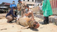 Sejumlah petugas Kementerian Kelautan dan Perikanan wilayah Kalimantan Timur-Kalimantan Utara melakukan autopsi terhadap bangkai Pesut, mamalia laut jenis lumba-lumba irawady di kawasan Pantai Klandasan, Balikpapan, Kaltim, Selasa (2/4). Pesut yang ditemukan mati terdampar di pantai tersebut, diduga keracunan tumpahan minyak. ANTARA FOTO/Sheravim.