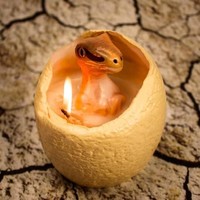 Suka menyalakan lilin aromaterapi? Anda perlu mencoba lilin bentuk telur seharga Rp 523 ribuan yang saat menetas akan muncul anak dinosaurus ini. Foto: Firebox