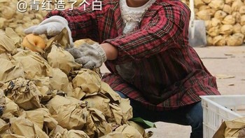 Colin Firth jadi tengah membungkus buah pir. Foto: Weibo