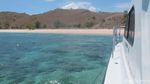 Kapan Kamu ke Pantai yang Pasirnya Pink Ini?