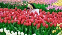 Tidak afdal rasanya ke Belanda tidak melihat bunga tulip ya Inces? (princessyahrini/ Instagram)