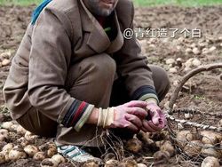 Kocak! Ketika Aktor Terkenal Hollywood Jadi Petani di China