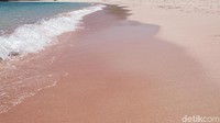 Selama di Pantai Namong, kamu juga harus ditemani pemandu ya. Sebab, kawasan pantai itu masih jadi habitatnya komodo (Afif Farhan/detikTravel)