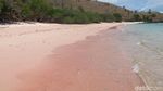 Kapan Kamu ke Pantai yang Pasirnya Pink Ini?