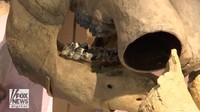 Kami menemukan potongan-potongan makhluk Zaman Es sepanjang waktu, kata Menurut paleontolog dan kurator di Museum Ilmu Pengetahuan Alam Mississippi, Phillips. “Anda mungkin menemukan potongan gigi mastodon atau mungkin bagian tulang, tetapi mereka menemukan rahang bawah setengah rahim yang sangat utuh dengan dua gigi. Jadi semuanya tampak utuh,” imbuhnya.  (Foto: Dok. Fox News)