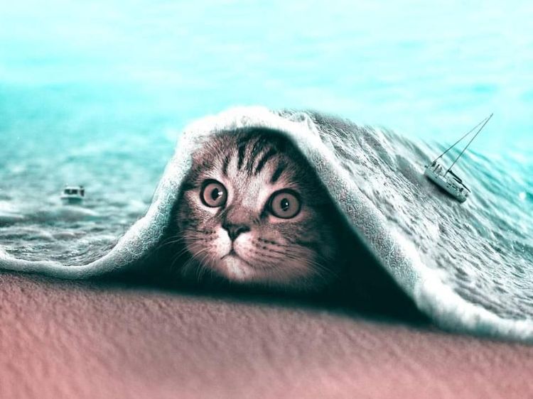 Foto Editan Photoshop yang Penuh Imajinasi