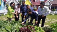 Potensi pertanian perkotaan di Indonesia terbilang masih sangat besar dimana dari 10,3 juta hektare lahan pekarangan yang belum dimanfaatkan, lebih dari 30 persen itu adanya di perkotaan. Foto: dok. Ewindo